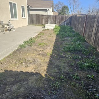 Wilson Landscape Maintenance Services - Before - Landscaping Near Me