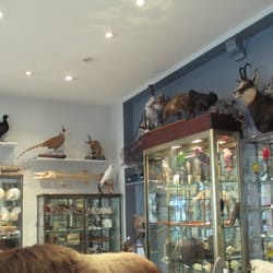 Claude Nature - Part of the Store