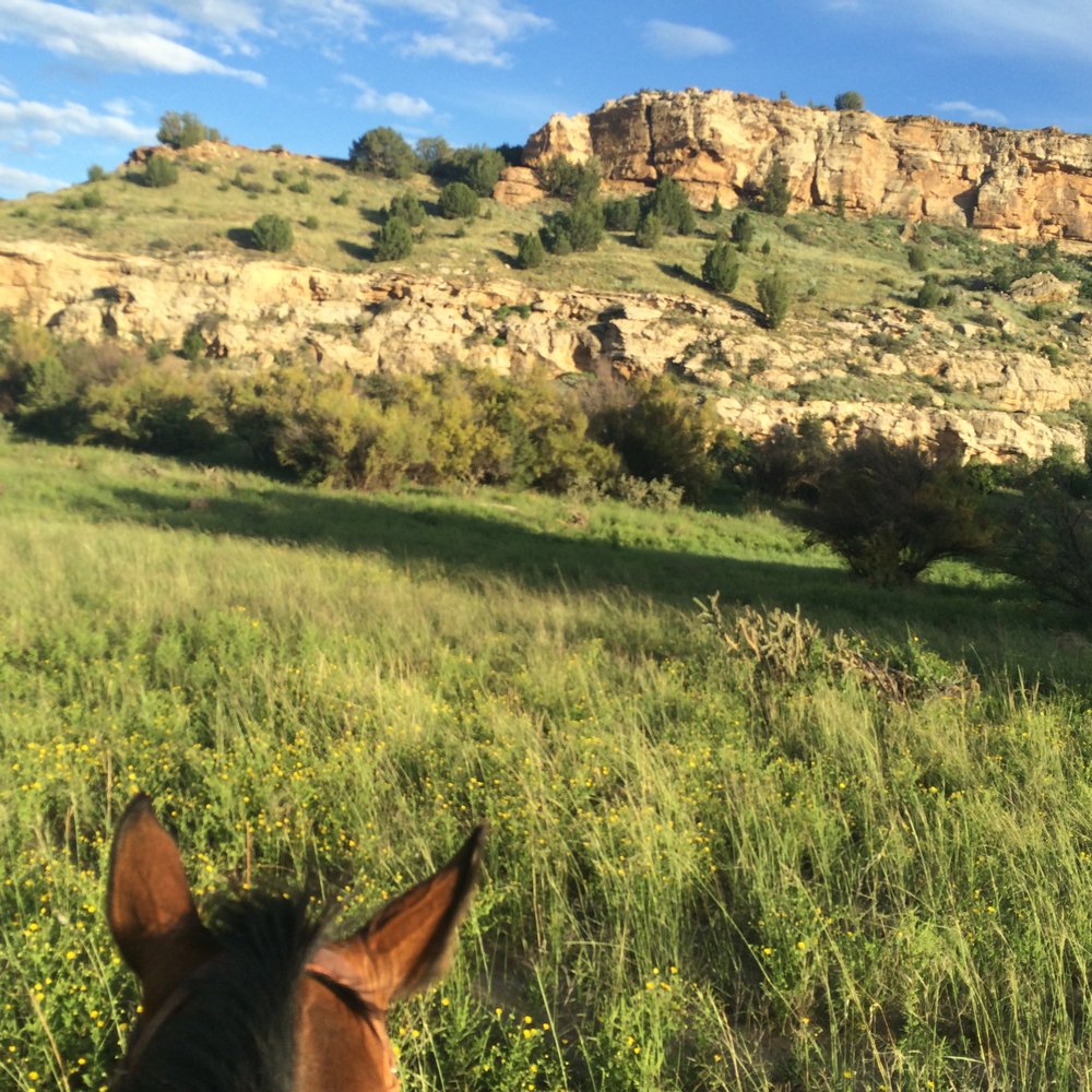Hitching Post Lodging - Horseback Riding Near Me - Kenton, Oklahoma