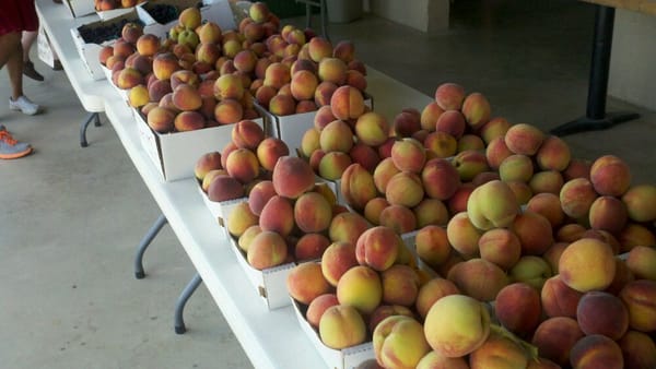 Vogel Orchard by null