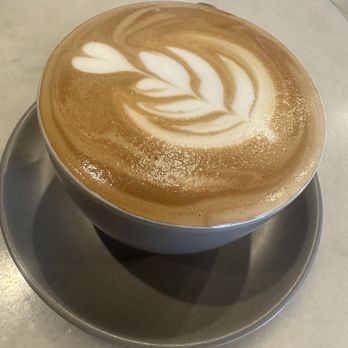 Borsalino - Plantation - Lavender Latte - Cafes Near Me - Plantation, Florida Borsalino - Plantation - Lavender Latte - Cafes Near Me - Plantation, Florida