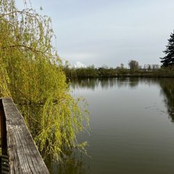 Levee Pond Park - Mt Rainier from the dock