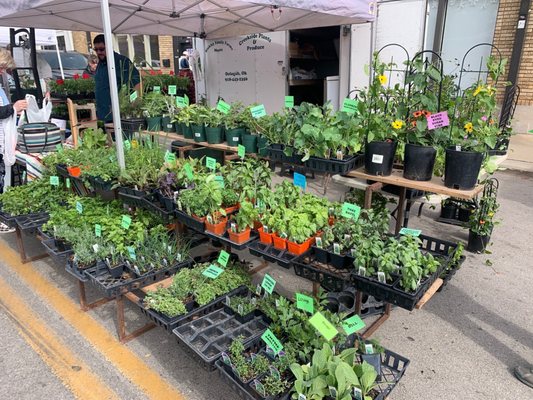 Tulsa Farmers' Market by null