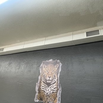Jaguar's Spot - Jaguar's waiting room Under construction - American Near Me - Millbrook, Alabama Jaguar's Spot - Jaguar's waiting room Under construction - American Near Me - Millbrook, Alabama
