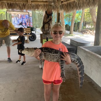 Everglades Adventure - Airboat ride, buggy ride and alligator show!! - Boat Tours Near Me - Fort Myers Beach, Florida