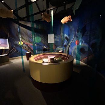 North Carolina Estuarium - Aquariums Near Me - Washington, North Carolina North Carolina Estuarium - Aquariums Near Me - Washington, North Carolina