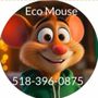 Eco Mouse Pest Control