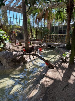 Gladys Porter Zoo by null