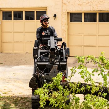 Fielding Tree Care - Tree Services Near Me - Highlands Ranch, Colorado