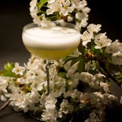Atelier - Cocktails