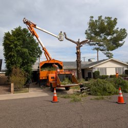 Essence AZ - Dangerously large limbs over the roof