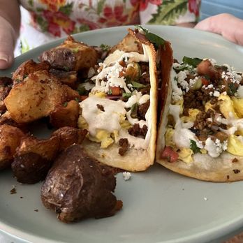 The Kitchen - Breakfast Street Tacos were wonderful - New American Near Me - Safety Harbor, Florida The Kitchen - Breakfast Street Tacos were wonderful - New American Near Me - Safety Harbor, Florida