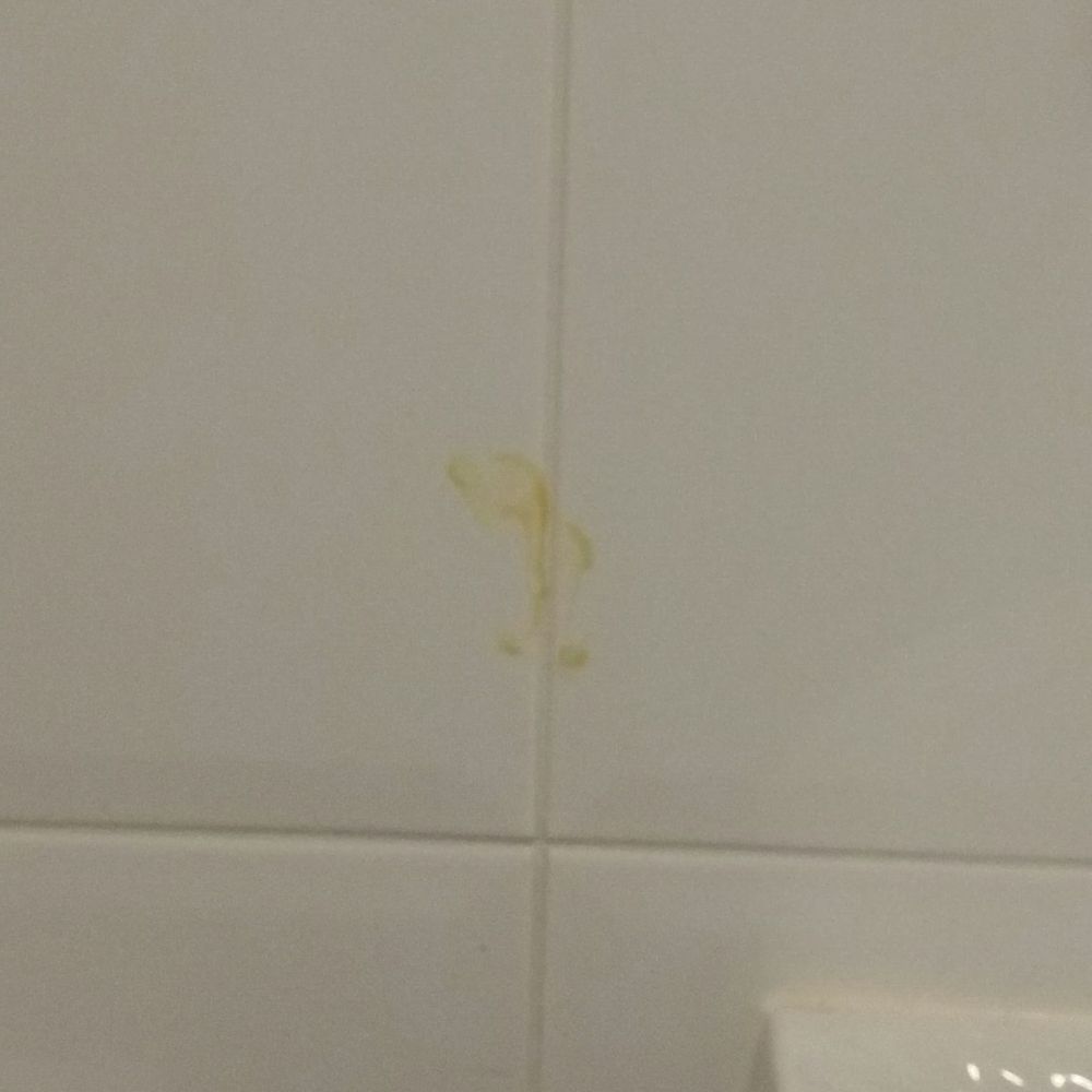 Malone Lodge Hotel - God knows what the stain is on bathroom wall. - Hotels Near Me - Belfast, BFS Malone Lodge Hotel - God knows what the stain is on bathroom wall. - Hotels Near Me - Belfast, BFS