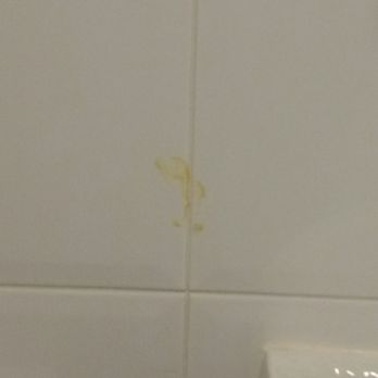 Malone Lodge Hotel - God knows what the stain is on bathroom wall. - Hotels Near Me - Belfast, BFS