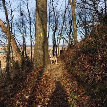 Ice Age Trail - Montrose Segment - Hiking Near Me - Belleville, Wisconsin