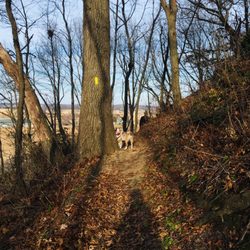 Ice Age Trail - Montrose Segment