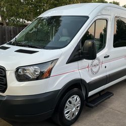 Lifeline E Transport