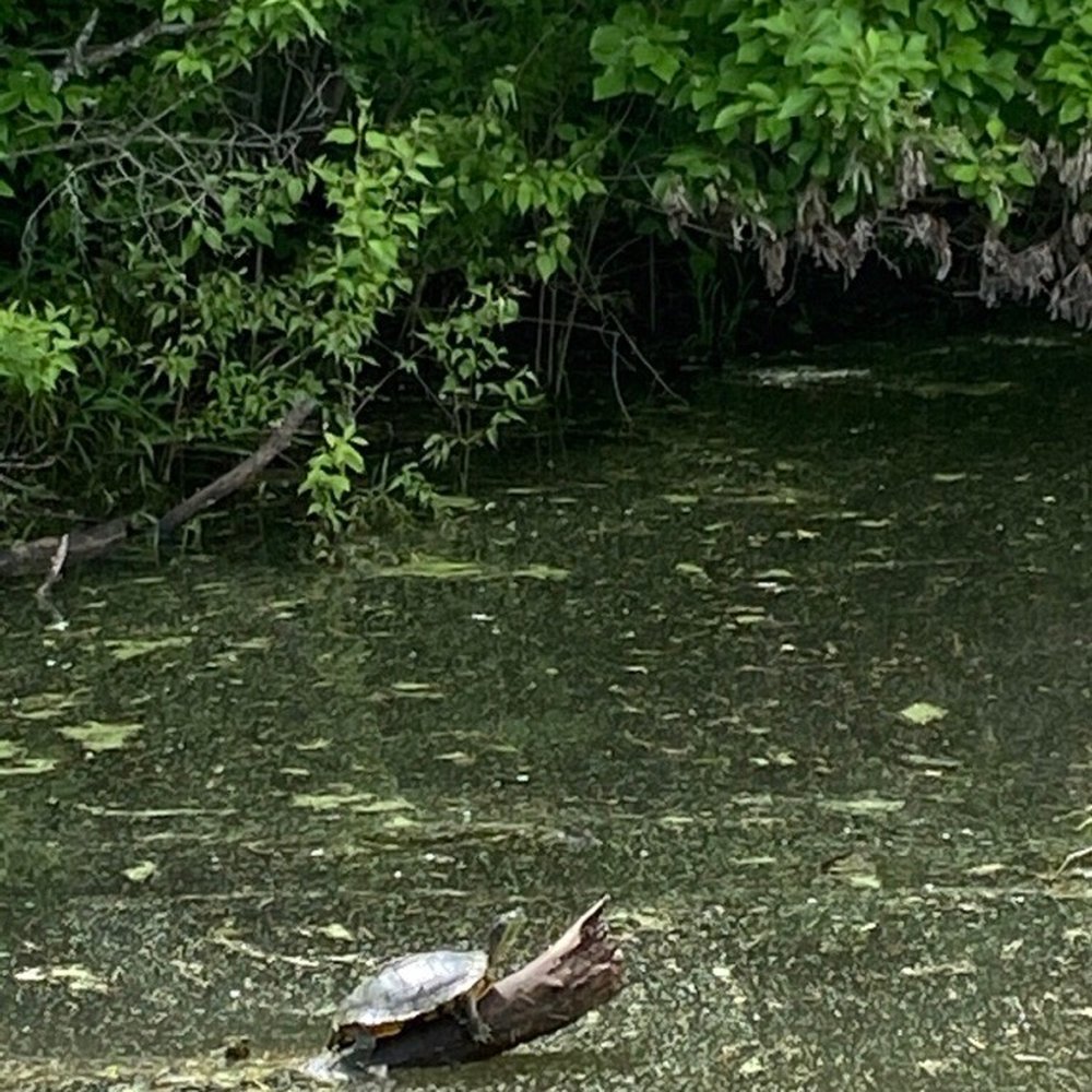 Prairie Center - Parks Near Me - Olathe, Kansas