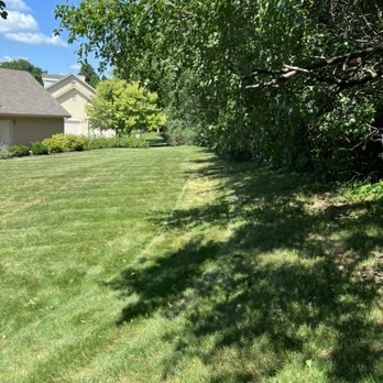 T&C Property Maintenance - a view of the back yard - Landscaping Near Me
