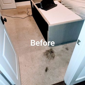 HypoGreen InstaClean - Carpet Cleaning Near Me - Woodbury, Tennessee HypoGreen InstaClean - Carpet Cleaning Near Me - Woodbury, Tennessee
