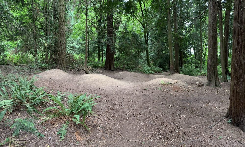 KINGSGATE PARK Updated September 2024 11606 NE 140th St, Kirkland