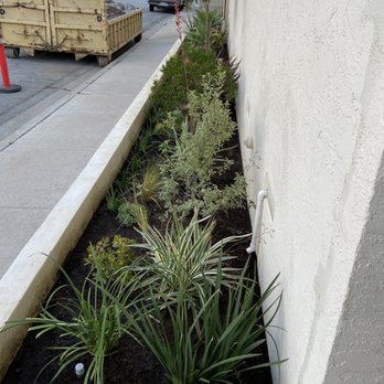 Aquatlan Landscaping - Front - during - Landscaping Near Me Aquatlan Landscaping - Front - during - Landscaping Near Me