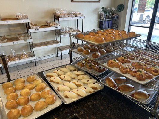 AA OZZY BAKERY by null
