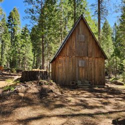 Sierra National Forest - 2025 May 28