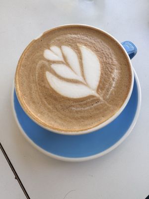 Superba Food + Bread Venice by null