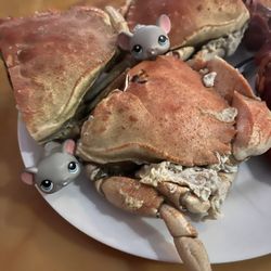 Royal Buffet - Dungeness Crabs are glorious mmmm