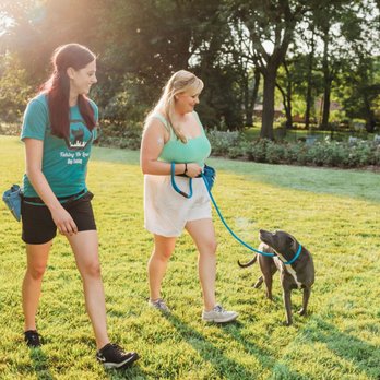 Taking the Lead - Pet Training Near Me - Columbus, Ohio Taking the Lead - Pet Training Near Me - Columbus, Ohio