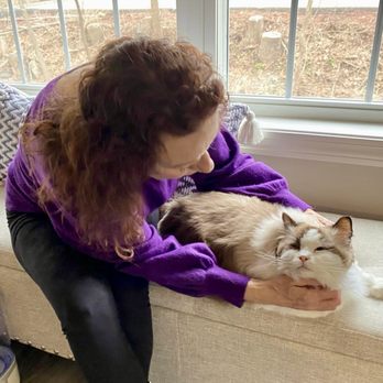 The Cat's Meow - Giving loving to this beauty! Pet sitter hooksett nh - Pet Sitting Near Me - Manchester, New Hampshire The Cat's Meow - Giving loving to this beauty! Pet sitter hooksett nh - Pet Sitting Near Me - Manchester, New Hampshire