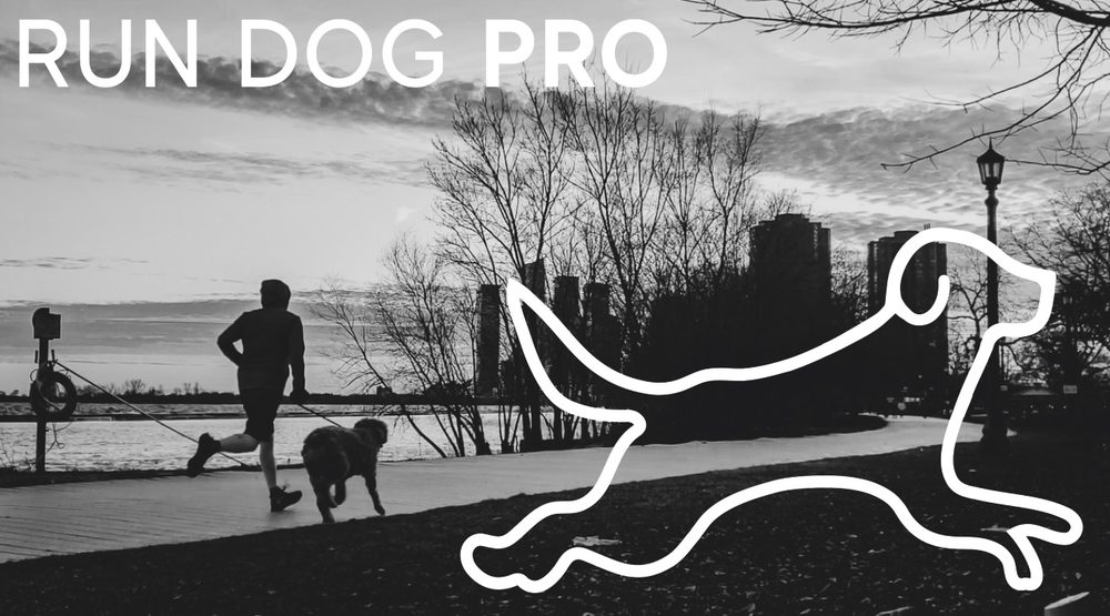 RUN DOG PRO Toronto, Ontario, Canada Dog Walkers Phone Number Yelp