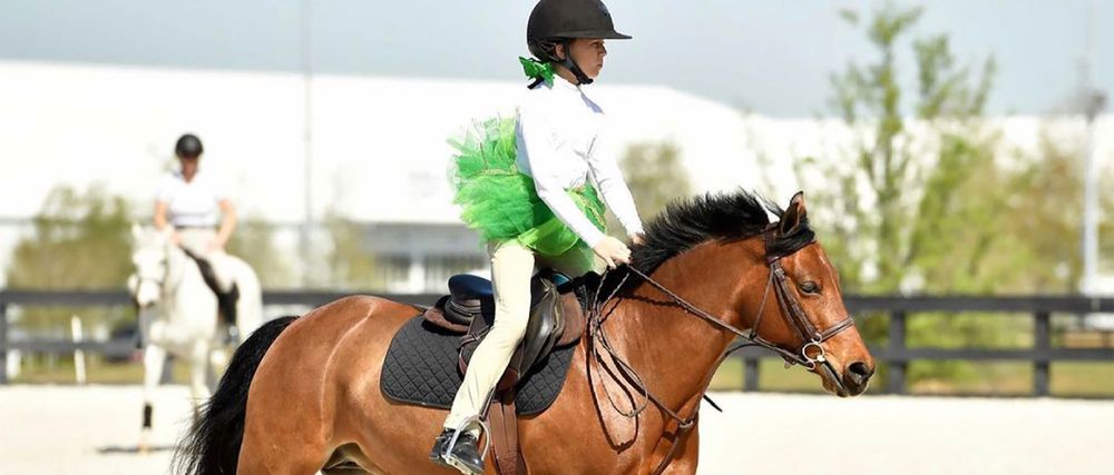 Westridge Farms - equestrian in Dripping Springs, TX