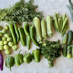 Vesolaya Gardens - This is an example of what you can get every week when you sing up for our CSA produce box