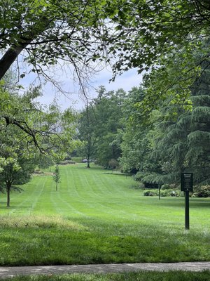 Sherwood Gardens by null