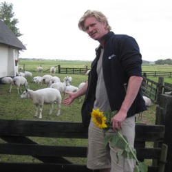 Hofstedespyk - Love when Dutchman picks my sunflowers from the field.:)
