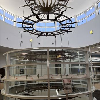 Chandler Public Library - Downtown - Glass partition looking down at the mezzanine - Libraries Near Me - Chandler, Arizona