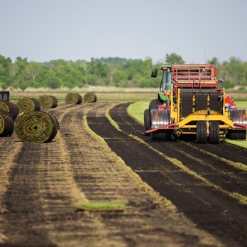 Skalitzky Sod Farms - a tractor pulling a trailer - Lawn Services Near Me - Waterloo, Wisconsin Skalitzky Sod Farms - a tractor pulling a trailer - Lawn Services Near Me - Waterloo, Wisconsin
