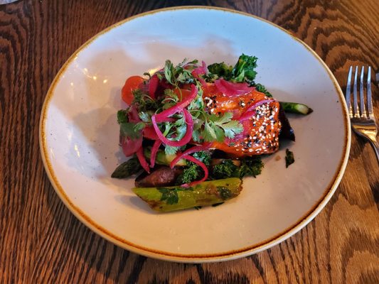 The Whalesbone Elgin Street by null