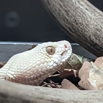 Lindsay Wildlife Experience - Museums Near Me - Walnut Creek, California Lindsay Wildlife Experience - Museums Near Me - Walnut Creek, California