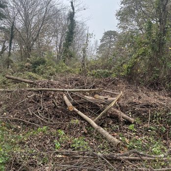 Nick's Landscaping & More - requested removal of many large brush/tree piles - Landscaping Near Me - Hendersonville, North Carolina Nick's Landscaping & More - requested removal of many large brush/tree piles - Landscaping Near Me - Hendersonville, North Carolina