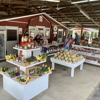 Sara's Roadside Stand - A clean sales area. - Fruits & Veggies Near Me - Trenton, South Carolina Sara's Roadside Stand - A clean sales area. - Fruits & Veggies Near Me - Trenton, South Carolina