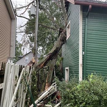 Timber Pros Tree Service - Tree Services Near Me Timber Pros Tree Service - Tree Services Near Me