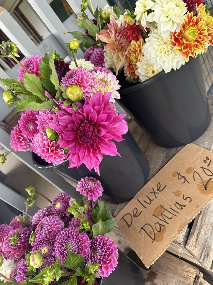 Social spots from Longview Farm and Apiary