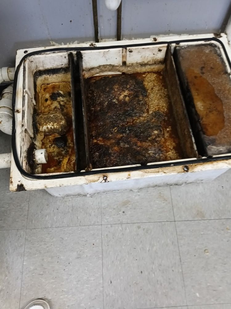 Poop Dynasty - septic in Auburn , IN