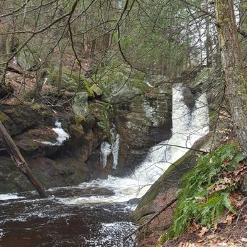 Enders State Forest - Parks Near Me - Granby, Connecticut