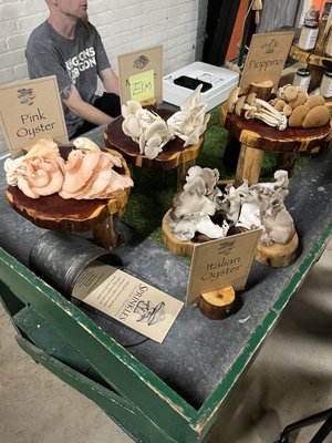 Greensboro Farmers Curb Market by null