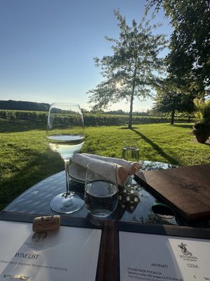 Two Sisters Vineyards by null