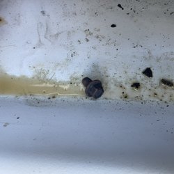 Degryse Electric - Oil and loose screw found after serviced